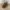 Christian Louboutin Luxury Heels Wanita brown photo 4