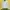 Gucci Casual Bomber Jacket Wanita White Green