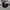 TRACKPANTS CHAMPION WOMEN TP 11, size 29-31 Women photo 1