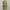 Vintage Encye Beige And Green Striped Full Zip