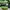 Vintage encye beige and green striped full zip photo 4