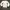 Nike Windbreaker 90s Bundling photo 3