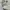 New Balance Minimalist Casual Sneakers Pria multicolor photo 2