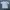 Jersey nike photo 1