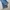 Adidas Casual Jeans Pria blue photo 8