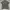 Polo Shirt By Ralph Lauren