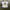 Cactus Plant Flea Market Big mac Special sauce tee photo 1