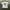 Cactus Plant Flea Market Big Mac Special Sauce Tee