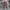 Celana Baggy Wide Leg Uniqlo U photo 1