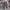 Celana Baggy Wide Leg Uniqlo U