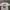 Ramones Band T Shirt