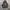 Vans Off the wall hoodie photo 4