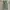 Uniqlo Vintage Streetwear Wanita green photo 1