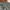 Men’s longpants Zara man green olive loose fit photo 6