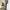 Men’s longpants Zara man green olive loose fit photo 10