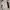 dress shimmer champagne party body press photo 4