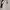 dress shimmer champagne party body press photo 1