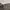 CARPENTER SHORT BC FACTORY photo 8