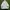 Canterbury England Softshell Jacket photo 1