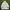 Canterbury England Softshell Jacket