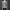 Y2k Sena Parma Long Sleeve