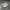 Mauson Martin Margiela GATS photo 1