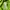 WHO.A.U Streetwear T-shirt Pria green photo 4