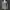 Y2k Colza Long Sleeve