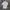 Coen Daily Clothing Tokyo Japan White Shirt photo 1