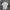 Coen Daily Clothing Tokyo Japan White Shirt