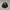 Shirt Dickies Embroidery photo 1