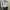 Sweatshirt oversized harvard good material photo 2