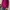 Sherpa Jacket full zip magenta colour Uniqlo photo 1