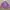leather jacket biker shanghai purple photo 1