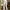 Legging Sport Lululemon Never Still Crop *21" White Putih photo 8