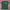 T-shirt santa cruz smal logo green color photo 1