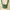 Love & Bravery Green Fringe Crop Top NEW photo 3