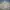 BDU 3 COLOR DESERT CAMOUFLAGE photo 2