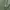 JUNGLE TROUSER - TYPE 1 photo 5