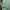 Neo Nello Mint Puff Sleeve Crop Top Soft Girl Brunch Top photo 4
