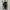 Unbrand Reversible puffer Work Jacket like detroit blouson photo 7