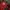 Umbro Vintage Sportswear Jersey Pria red photo 1