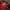 Umbro Vintage Sportswear Jersey Pria Red