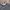 VINTAGE JAKET CROCODILE PLAID CASUA photo 5