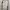 Kaos Oversize Graphic Tee Putih Unisex Back Print Vintage photo 1