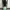 TOFFE Onetuck Baggy Wide Pants photo 7