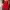 ruffle butterfly layered red babydoll tanktop photo 2