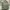 MILITARY FISHTAIL PARKA JAKET BLUE CRAFT photo 2