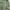 M65 FIELD JAKET MILITARY CPS  photo 5