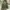 M65 FIELD JAKET MILITARY CPS  photo 3
